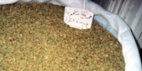 29.jpg (33506 bytes)